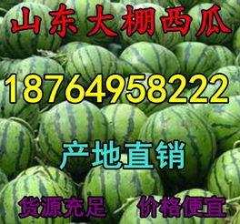 今日毛瓜的价格是多少呢,今日毛瓜价格行情分析