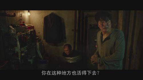 韩国电影寄生虫,揭示社会阶层与人性挣扎的暗黑寓言
