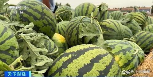 近期热门吃瓜事件安徽,揭秘近期热门吃瓜事件背后的真相