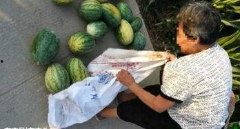 邢台近期热门吃瓜事件,揭秘近期引发全民关注的吃瓜大事件