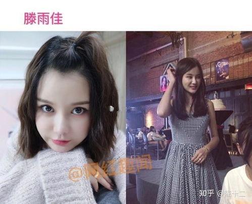 为什么明星网红都娶网红,明星网红纷纷牵手网红背后的原因解析