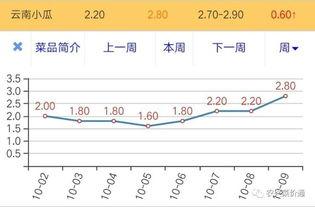 云南今日小瓜价格行情走势,今日走势分析