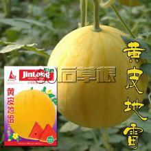 摘瓜扭瓜的热门音乐叫什么,唤醒夏日激情的旋律之旅