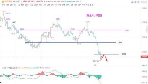今日七叶瓜价格行情走势,今日行情走势解析