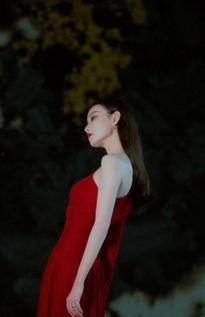 明星网红服装中高档,明星网红引领中高档服装潮流