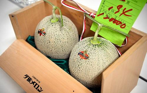 首衡蜜瓜今日价格行情,甜蜜价格波动解析