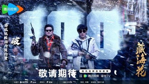 藏海花电视剧,探寻神秘古墓，揭秘千年传说