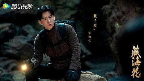 藏海花电视剧,探寻神秘古墓，揭秘千年传说