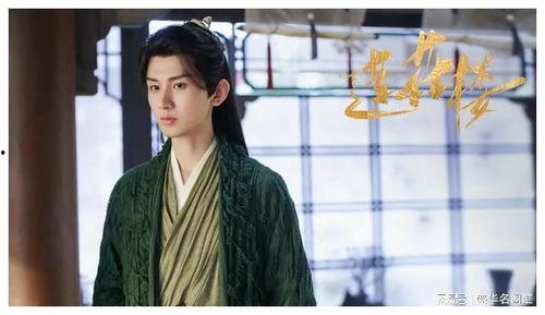 成毅电视剧,演绎传奇人生，电视剧中的璀璨星辰