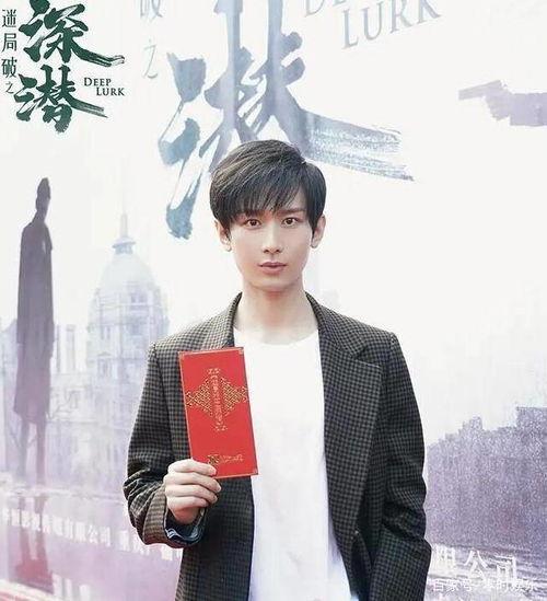 成毅电视剧,演绎传奇人生，电视剧中的璀璨星辰
