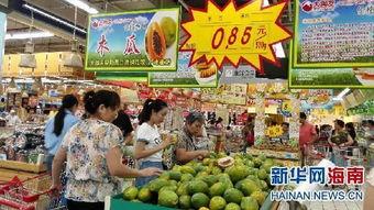 海南热门瓜,探寻热带天堂的甜蜜宝藏
