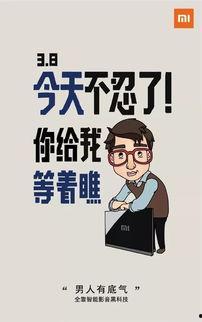 偷瓜的热门文案,一场欢乐的夏日冒险