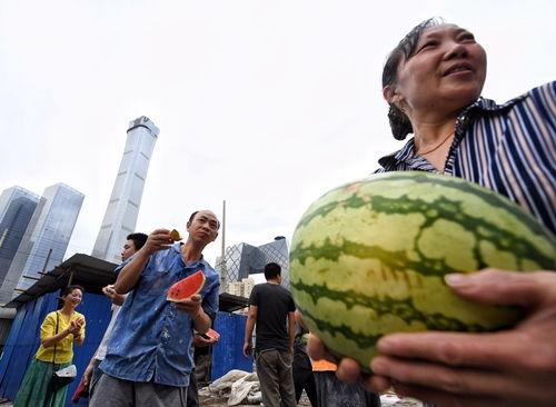 热门大瓜朝阳群众吃瓜网,热门大瓜，吃瓜网带你一网打尽