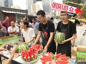 热门大瓜朝阳群众吃瓜网,热门大瓜，吃瓜网带你一网打尽
