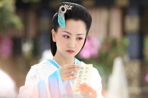 杨蓉电视剧,穿越时空的情感之旅