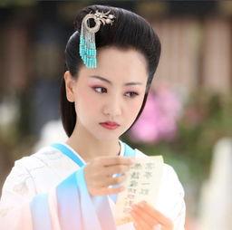 杨蓉电视剧,穿越时空的情感之旅