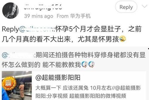 热门大瓜泄密网曝,网络舆论背后的真相与争议