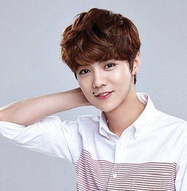 女明星网红男明星是谁,女明星网红与男明星的跨界恋情揭秘