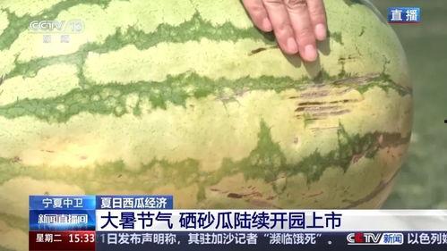 今日头条的瓜是真的吗,真相揭秘，是真是假？