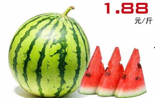 水果吊瓜今日价格表最新,吊瓜价格行情一览