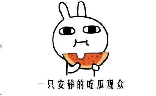 热门 吃瓜 事件,真相与舆论的碰撞