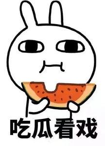 热门 吃瓜 事件,真相与舆论的碰撞