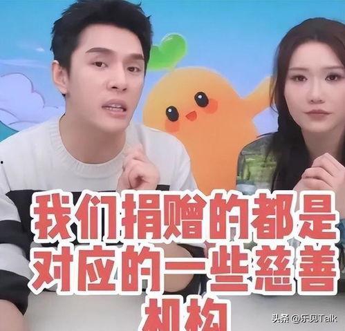 明星网红捐款到哪个公司,聚焦爱心企业助力公益