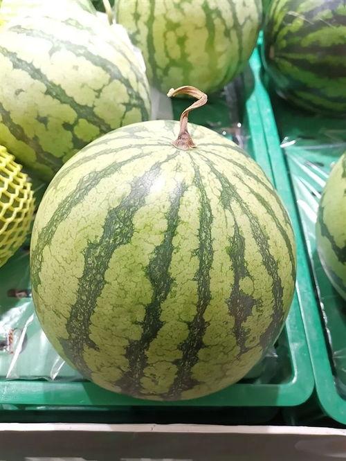 上热门冰糖麒麟瓜到货,甜蜜夏日尽享清凉美味