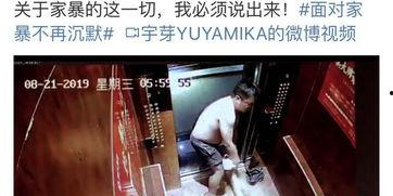 网红明星网暴事件视频播放,网红明星网暴事件视频播放背后的真相