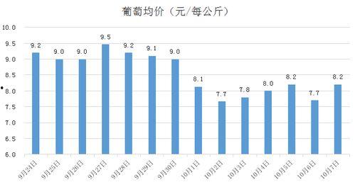 哈密瓜今日价格行情走势,今日行情走势解析