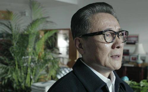 省委书记电视剧,权力与担当的抉择之路