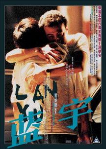 蓝宇电影,跨越时光的青春恋曲