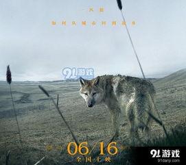 狼群电影,铁血征程，共赴生死