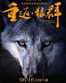狼群电影,铁血征程，共赴生死
