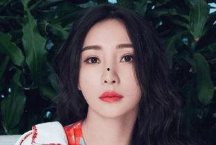 大明星网红素材下载,热门资源一网打尽