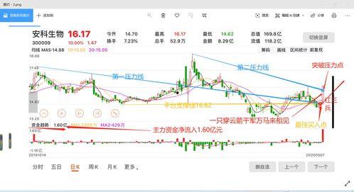 五龙小白瓜今日价格走势,今日走势解析”