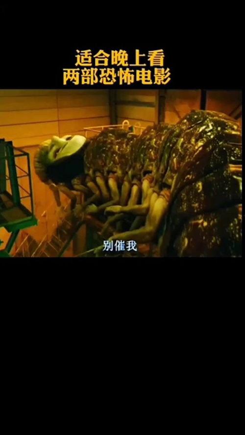 适合晚上看的电影,晚间观影指南精选