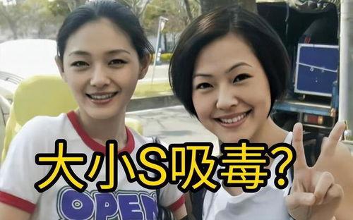 最近热门掉瓜事件是什么,真相与反思