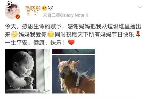感谢明星网红朋友的话简短,友谊之光闪耀网络