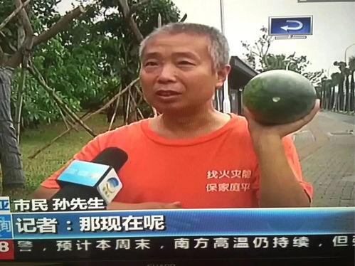 最近热门瓜事件,真相与反转背后的故事