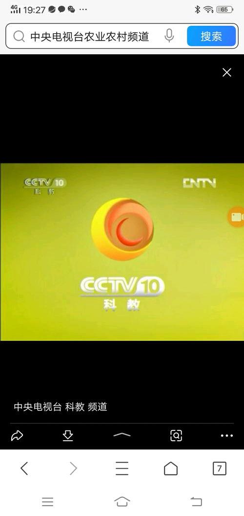 cctv8电视剧频道,精彩剧集轮番上演，陪伴您度过美好时光