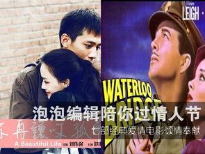 爱情电影在线观看,经典爱情电影在线观影指南
