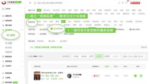飞瓜数据查热门视频,热门视频背后的爆款秘籍