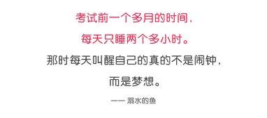 聊聊高考热门话题,聚焦热门话题，解码青春梦想
