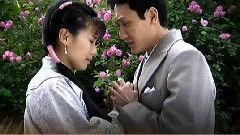 女人花电视剧,绽放时代女性的传奇人生