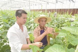 云霄今日照相馆什么瓜,揭秘摄影背后的秘密瓜