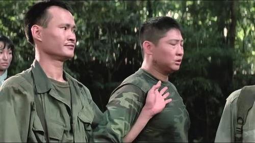 楼南光电影,光影交织的梦境世界