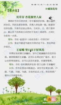 热门话题踏青文案,探寻自然之美，共赴诗意之旅