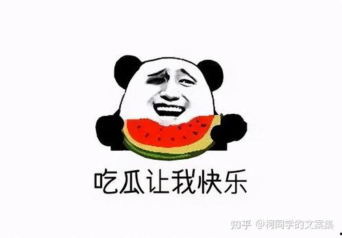 吃瓜点评热门文案短句,热门文案短句背后的社会现象解析