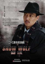 雪狼电视剧,烽火岁月里的忠诚与信仰